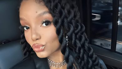 Halle Bailey's Top 15 Hair Styles, Ranging from Loc Ponytails to Lively Bobs